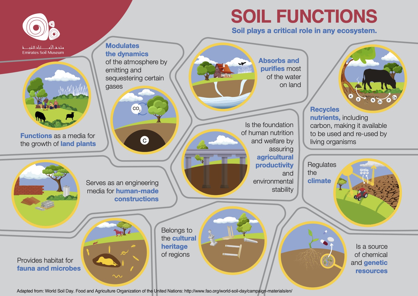 Soil Biodiversity Digital Exhibition Emirates Soil Museum